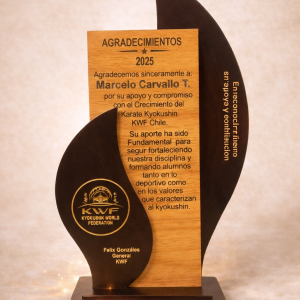 ChatGPT Image 19 feb 2026, 10_53_09 a.m.