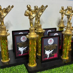 Trofeo "Espíritu de Pelea"