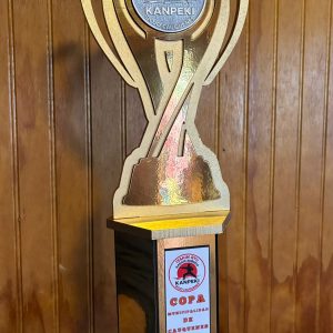 Trofeo "Logro del Guerrero"