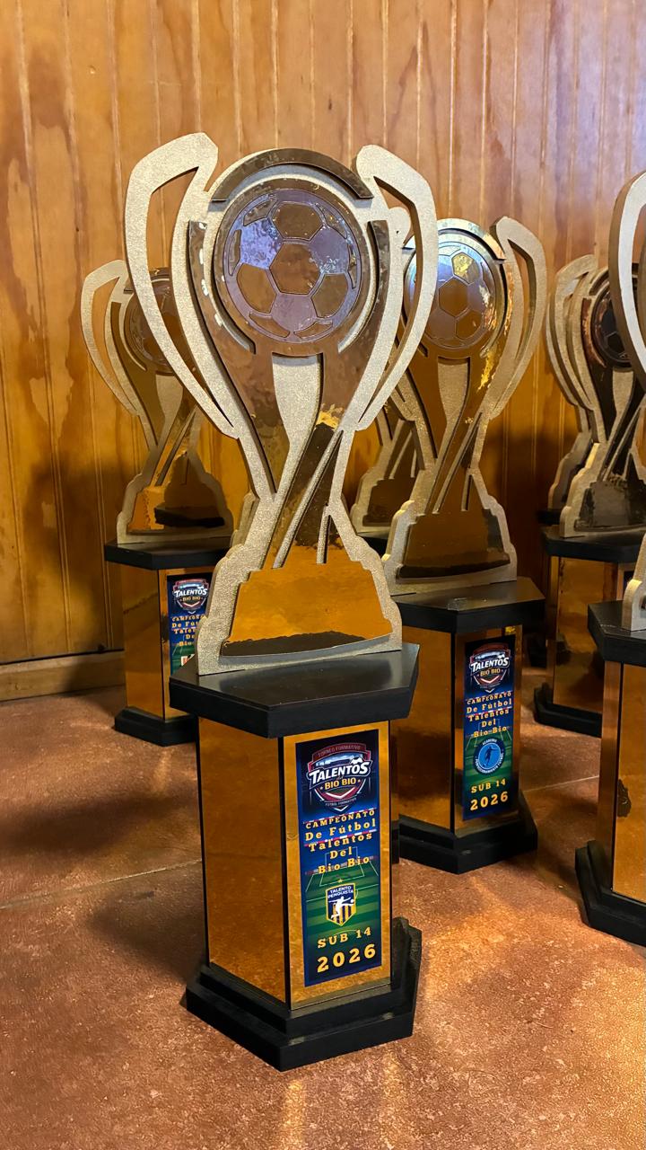 Trofeo "Logro del Guerrero" - Imagen 5