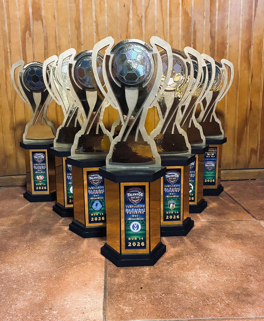 Trofeo "Logro del Guerrero"