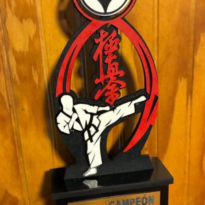 Trofeo Kyokushin