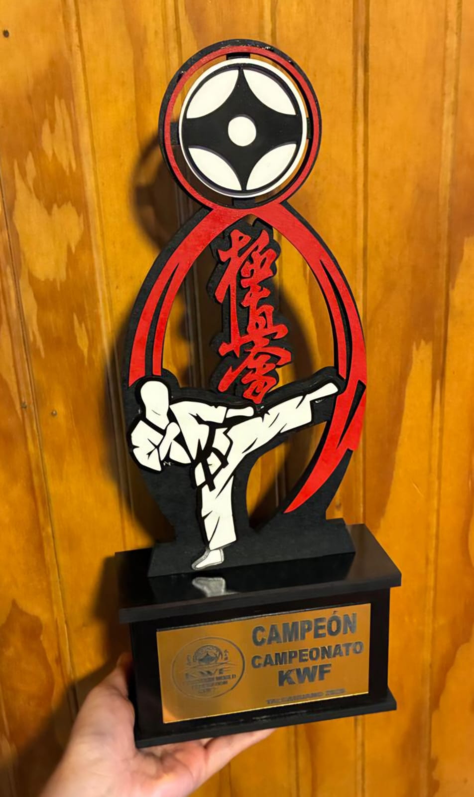 Trofeo Kyokushin
